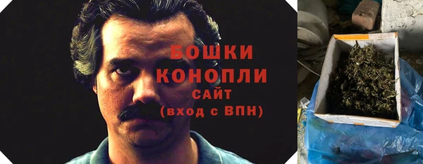 стаф Дмитров