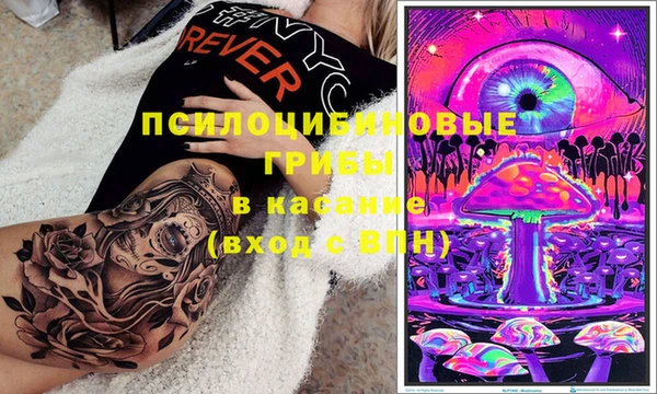 ПСИЛОЦИБИНОВЫЕ ГРИБЫ Ельня