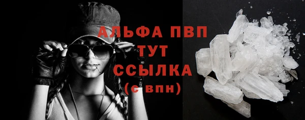 стаф Дмитров