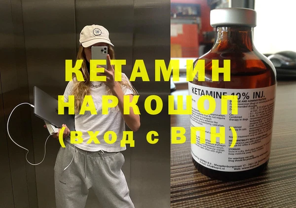 стаф Дмитров