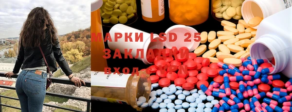 ПСИЛОЦИБИНОВЫЕ ГРИБЫ Ельня