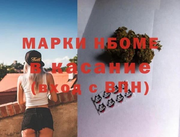 стаф Дмитров