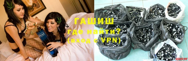 стаф Дмитров