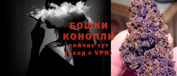 дживик Елабуга