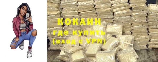 стаф Дмитров