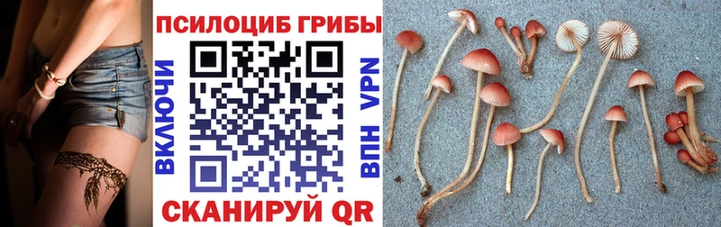 Галлюциногенные грибы прущие грибы  Купить  Кемь 